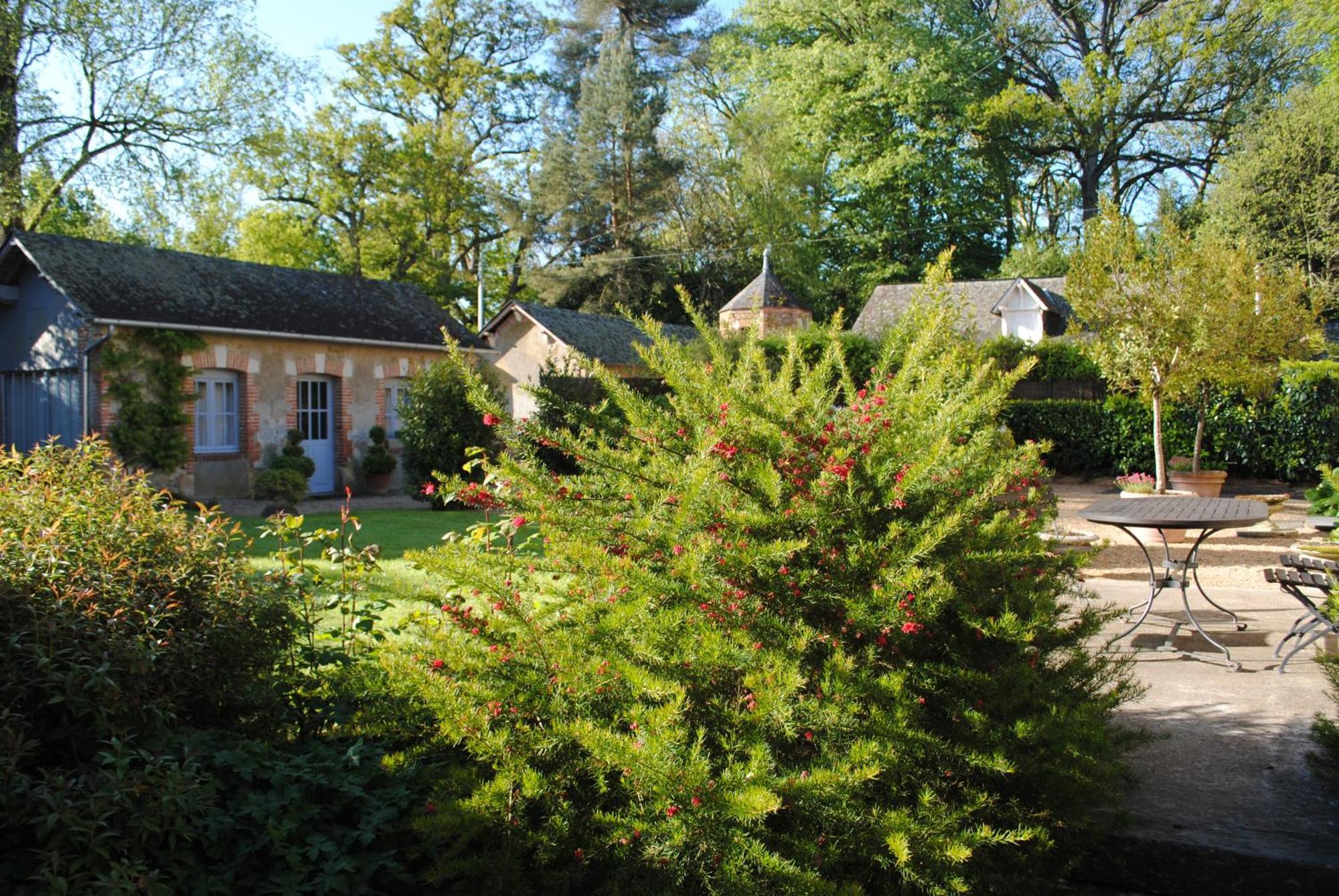 Au Calme Dans La Campagne Du Haut Anjou Pouancé Buitenkant foto